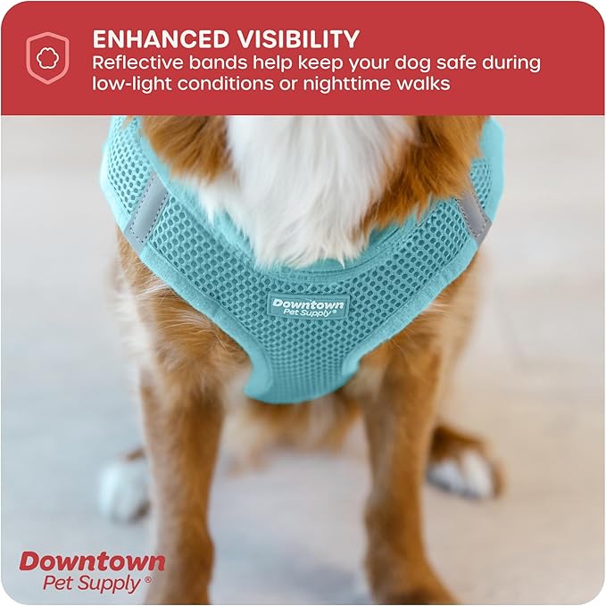 Downtown Pet Supply Step in Dog Harness for Small Dogs No Pull, X-Small, Light Blue - Adjustable Harness with Padded Mesh Fabric and Reflective Trim - Buckle Strap Harness for Dogs
