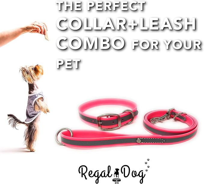 Regal Dog Products Medium Pink Reflective Dog Collar and Leash Set - Waterproof Biothane Dog Collar with Heavy Duty Double Buckle, D Ring & 5ft Leash - Other Size for Medium & Large Dogs