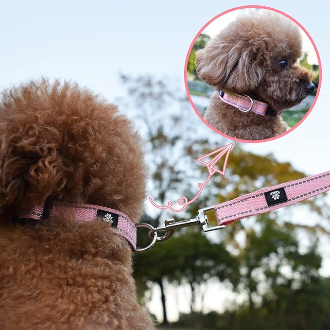 NESTROAD Reflective Dog Collar and Leash Set,Soft Neoprene Pet Collar with Quick Release Buckle,Adjustable Nylon Dog Collars for Small Medium Large Dogs(X-Small Collar + 5FT Leash,Pink)