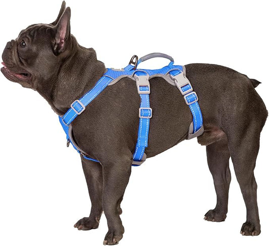 Escape Proof Harness - No Slip Dog Harness, Fully Reflective with Handle, Breathable, Durable, Adjustable Vest for Medium Dogs Walking, Training, and Running Gear (Sea Blue, M)