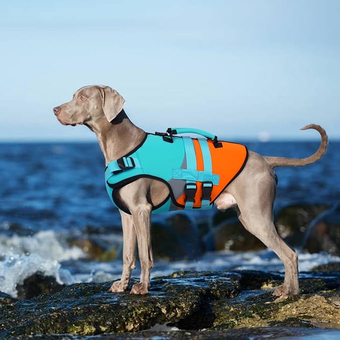 Kuoser Dog Life Jacket, Large High Flotation 2XL Dog Life Vest for Swimming Boating, Reflective Dogs Swimsuit Lifejacket, Pet Life Preserver with Double Rescue Handle, Blue, XXL