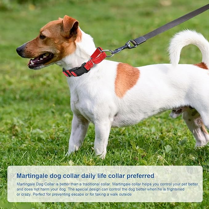 Reflective Martingale Dog Collars. Dog Collar with Quick Release Buckle. Adjustable Soft Padded Breathable Nylon Pet Collar Suitable for Puppies for Small Medium Large Dogs.