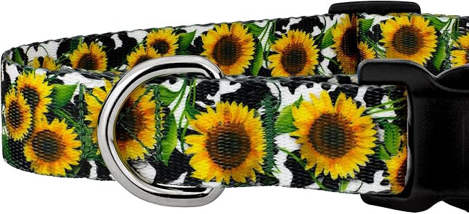 Country Brook Petz - Deluxe Dairy Fields Dog Collar - Made in The U.S.A. - Country and Western Collection Featuring Rustic Designs (1/2 Inch, 2XS)