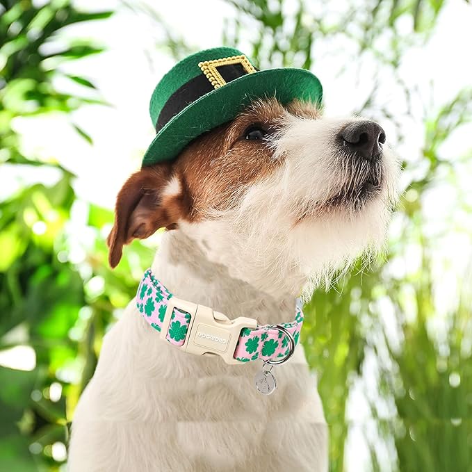 DOGWONG St. Patrick's Day Dog Collar, Pink Lucky Clover Shamrock Dog Collar Soft Durable Adjustable Costume Lucky Charm Puppy Collar for Small Medium Large Dog