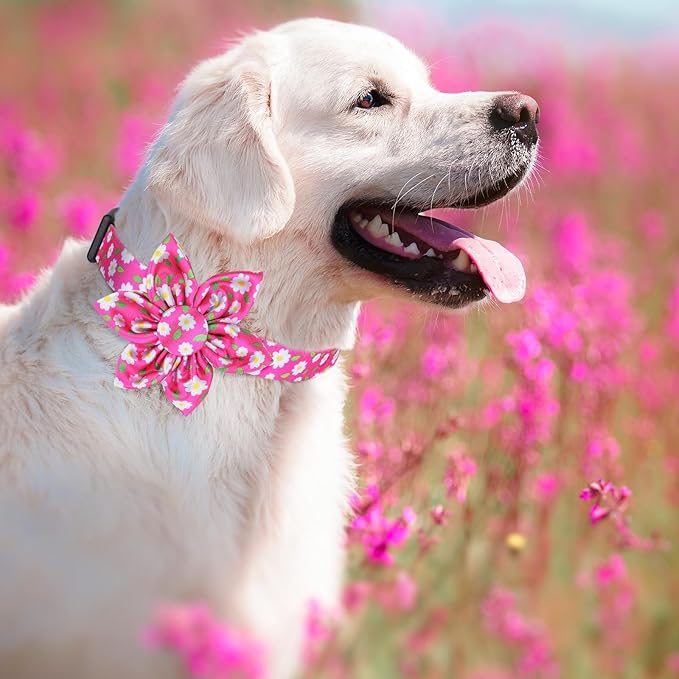 Daisy Pink Dog Collar Cute Dog Collars with Flower Bow for Small Medium Large Dogs Hot Pink Floral Colored Options Soft and Fancy Pet Collars for Girls Flower Pattern for Girl Dog Collar