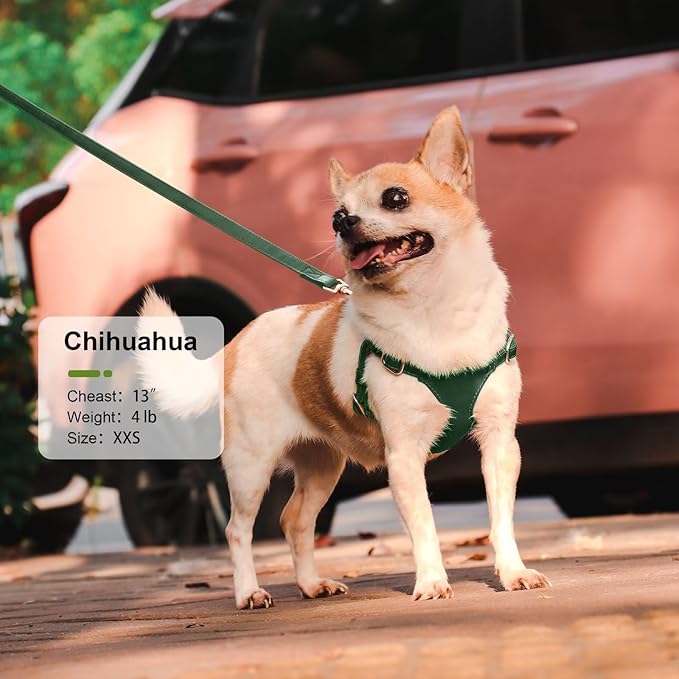 Didog Small Dog Harness and Leash Set, Soft & Lightweight Dog Vest Harness, Adjustable Leather Dog Harness for Small Dogs, Green, XXS