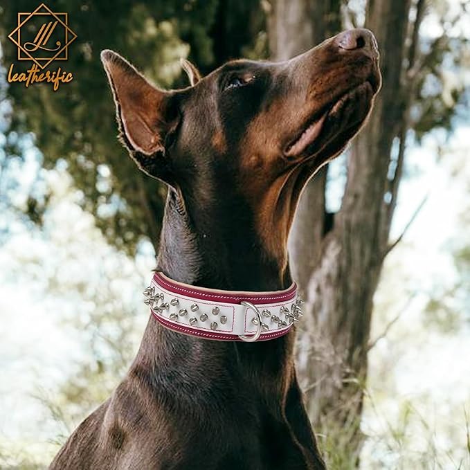 Genuine Leather Dog Collar by Leatherific, Premium Bridle Leather, Heavy Duty, Padded, Strong, Screwed Spikes, Medium, Large, Extra Large Breeds, 2" Wide (Red, Neck Size 14"-18")