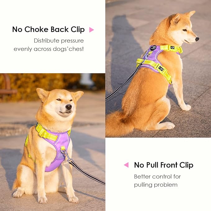PHOEPET No Pull Dog Harness, Unique Colors Reflective Adjustable Dog Vest, with Soft Training Handle Metal Clips for Small Medium Large Dogs (Baby Purple Base & Yellow Straps,M)