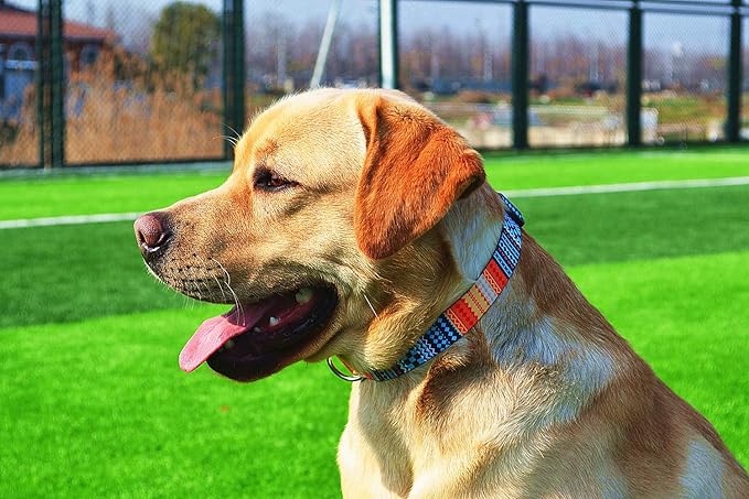 Dog Collar with Bohemia Floral Tribal Geometric Patterns - Soft Ethnic Style Collar Adjustable for Small Medium Large Dogs（Bohemian Orange,L）