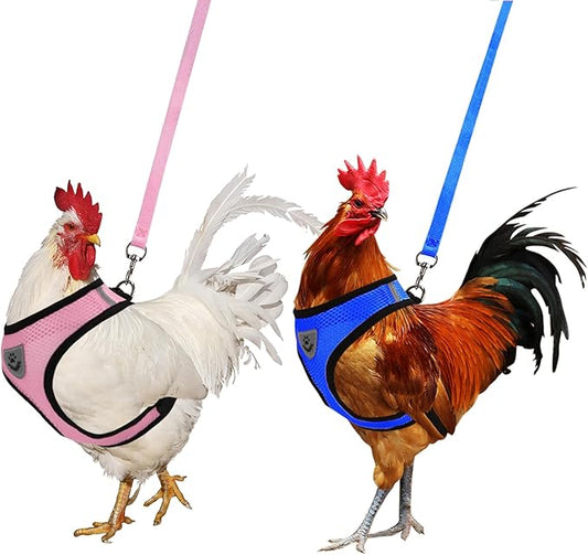 2PCS Adjustable Chicken Harness with Leash Small Pet Harness and Leash for Duck Hen Goose Walking (Blue S + Pink M