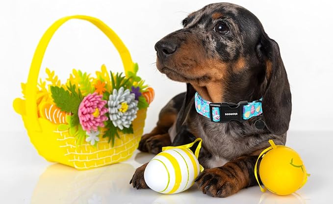 DOGWONG Easter Dog Collar, Colorful Egg Dog Collar Soft Durable Adjustable Costume Cute Easter Puppy Collar for Small Medium Large Dog