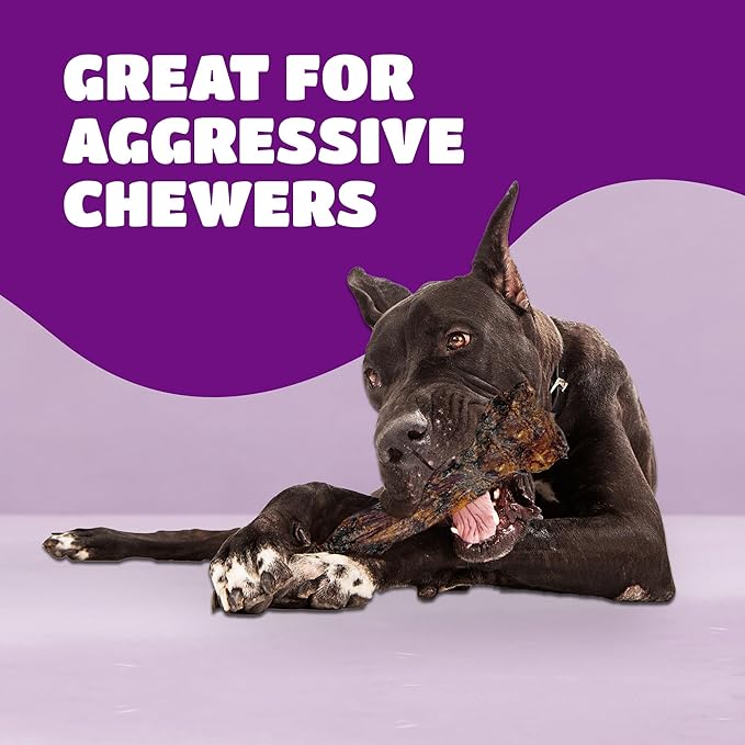 Liver Coated Dog Bones for Aggressive Chewers, Chew Bone for Large Dogs, Dog Bones Long Lasting, Beef Shin Large Bone, 10 Pack