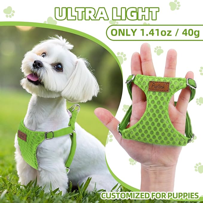 PUPTECK Dog Harness and Leash Set Small Sized, Step-in Cute Puppy Harness, Soft Lightweight Padded Vest, Escape Proof No Pull Pet Harnesses Easy for Walking, Green, XS
