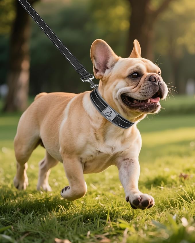 Joytale Dog Collar for Small Dogs, Neoprene Padded and Adjustable, Reflective Wide Heavy Duty Pet Collars with Durable Metal Belt Buckle for Walking, Black, S