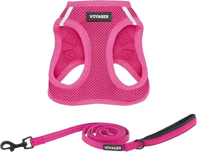 Voyager Step-in Air All Weather Mesh Harness and Reflective Dog 5 ft Leash Combo with Neoprene Handle, for Small, Medium and Large Breed Puppies by Best Pet Supplies - Set (Fuchsia), XL