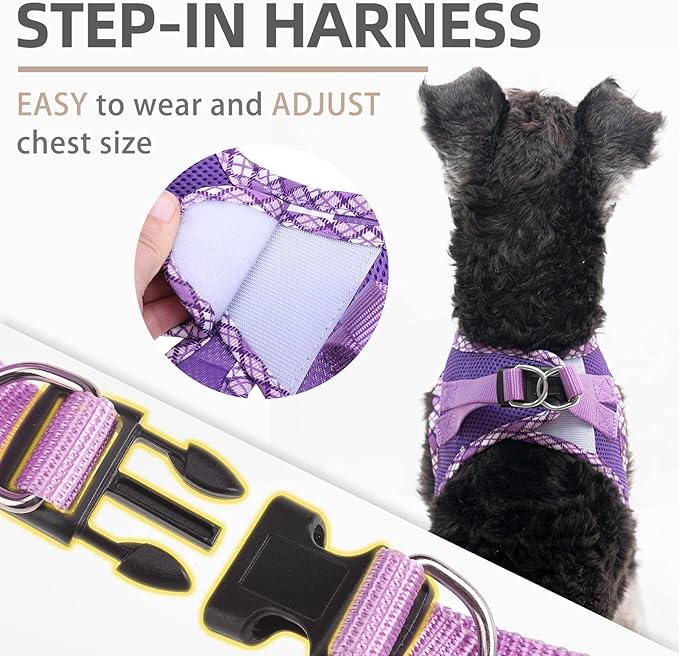 PUPTECK Dog Harness and Leash Set for Small Medium Dogs No Pull Step-in Soft Mesh Puppy Cat Vest Harnesses Reflective at Night, Purple XS