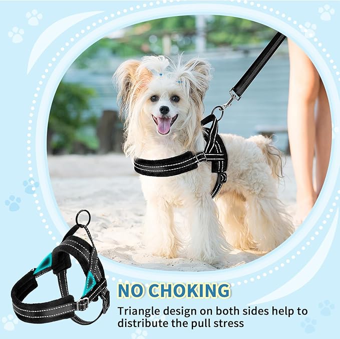 SlowTon No Pull Small Dog Harness and Leash Set, Puppy Soft Vest Harness Neck & Chest Adjustable, Reflective Lightweight Harness & Anti-Twist Pet Lead Combo for Small Medium Dogs (Black, XS)