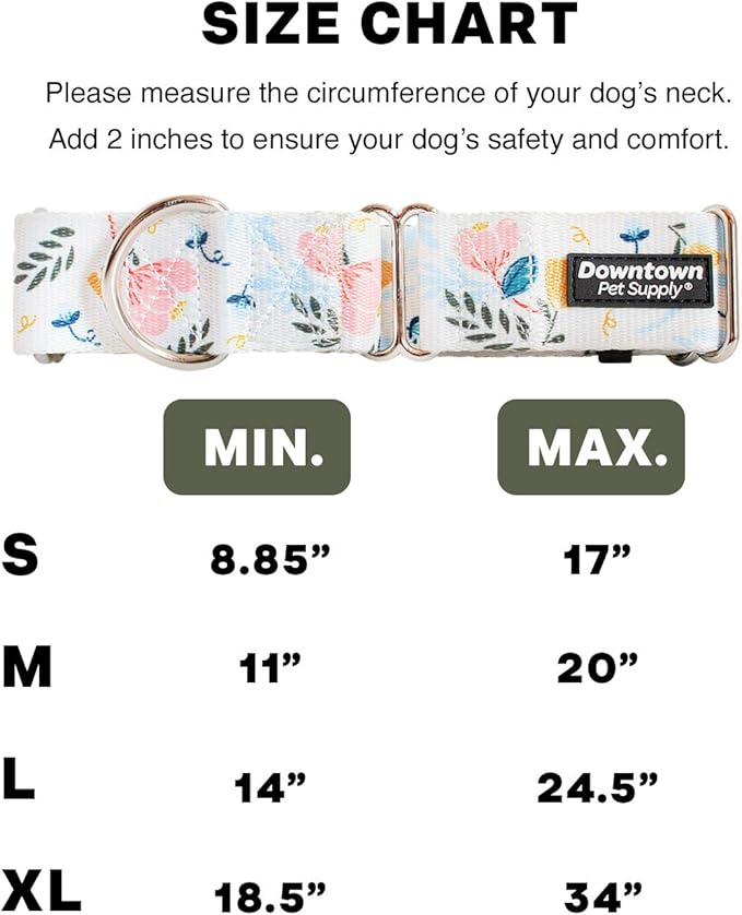 Downtown Pet Supply - Martingale Collar for Dogs - Big, Wide & Thick Dog Training Collar - Escape-Proof, Weatherproof, Durable and Comfortable - Floral - Large