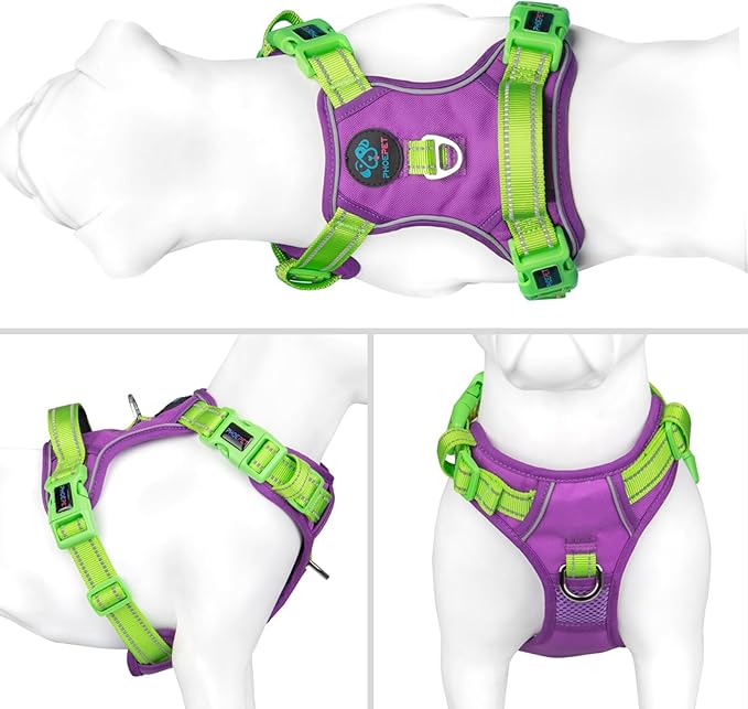 PHOEPET No Pull Dog Harness, Unique Colors Reflective Adjustable Dog Vest, with Soft Training Handle Metal Clips for Small Medium Large Dogs (Purple Base & Green Straps,XL)