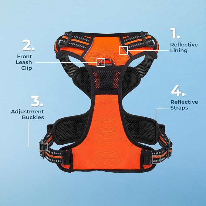 Dog Harness Dual Leash Attachment No-Pull Control Adjustable Soft but Strong Pet Harness for Medium and Large Dogs with 3M Reflective Technology - Harness Leash Set (Orange), XS