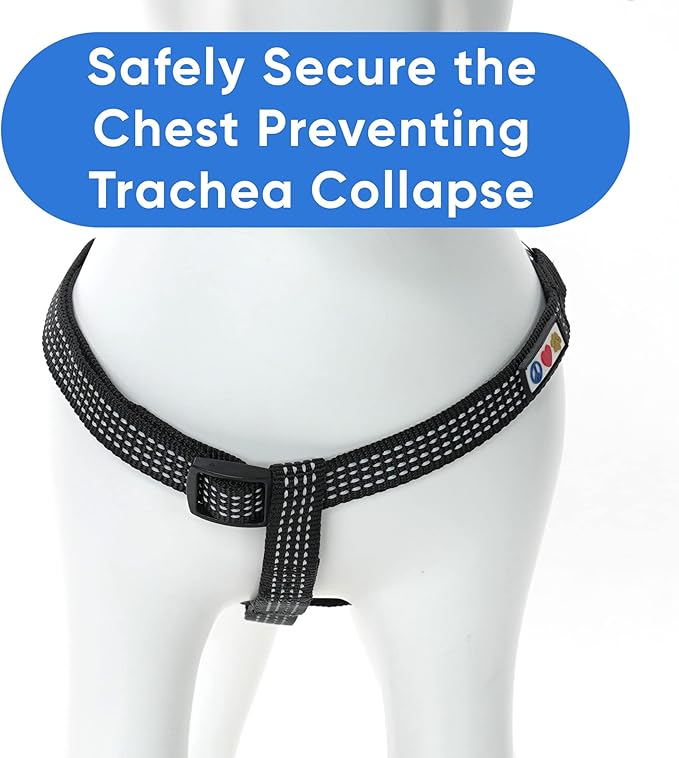 Pawtitas Adjustable Reflective Dog Harness - Step In, Senior to Puppy, Black