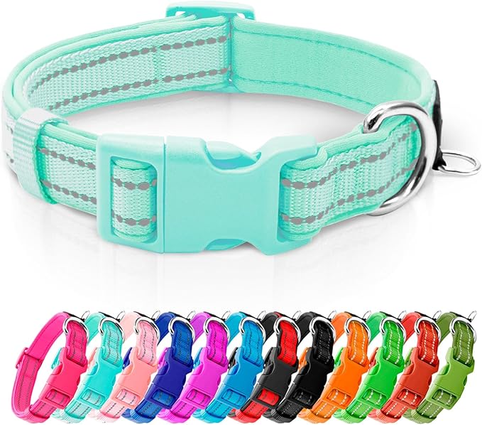 azuza Reflective Dog Collar,Soft Neoprene Padded Pet Collar with ID Tag Ring,Adjustable for Medium Dogs,Teal,M
