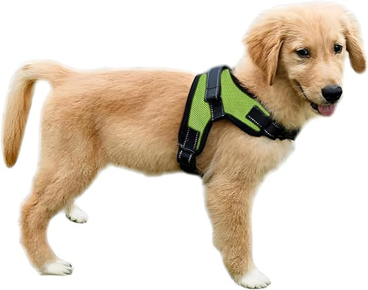 No Pull Reflective Adjustable Dog Harness With Handle- Comfortable Soft All Weather Mesh, Easy On Puppy Harness For Small Medium and Large Dogs (Green) XX-Small