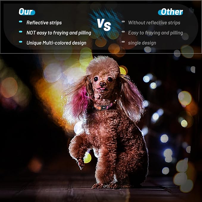 Dog Collar Cute Flower, Reflective Adjustable Basic Collars for Girl Female Small Medium Large Dogs Walking Running(Small,Orange Red)