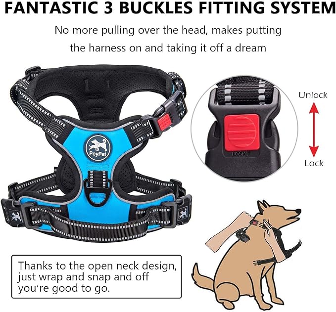 PoyPet Dog Harness and Leash Combo, Escape Proof No Pull Vest Harness, with 5 Feet Leash, Reflective Adjustable Soft Padded Pet Harness with Handle for Small to Large Dogs(Blue,M)