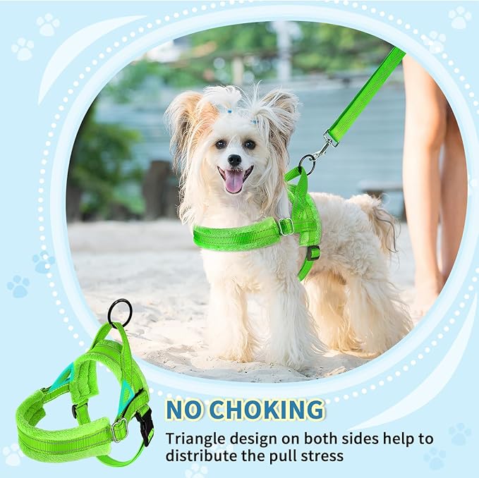 SlowTon No Pull Small Dog Harness and Leash Set, Puppy Soft Vest Harness Neck & Chest Adjustable, Reflective Lightweight & Anti-Twist Pet Lead Combo for Small Medium Dogs(G,S)