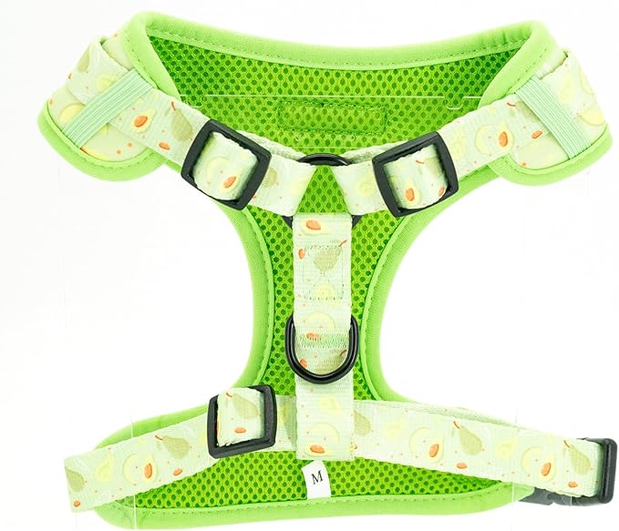 Dog Harness and Leash Set, Adjustable Dog Harness, Dog Leash, No Pull No Choke Puppy Harnesses for Walking Training for Small, Medium, Large Pet