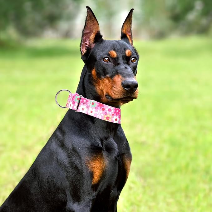 Wide Pink Martingale Collar for Dogs,1.5 Inches Martingale Collar with Flowers Pattern,No Slip Dog Collar Perfect for Training,Walking, Hunting(Pink Flowers M)