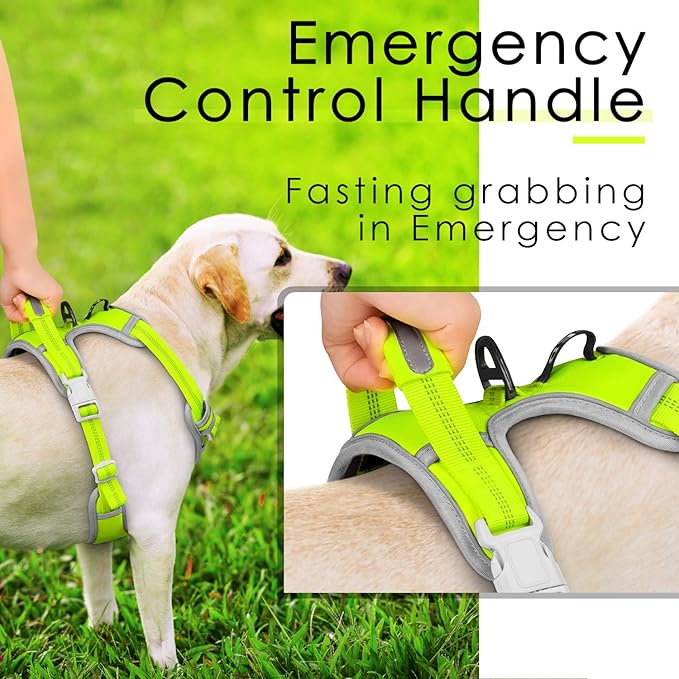ThinkPet No Pull Harness Set Breathable Sport Harness with Handle - Reflective Padded Dog Safety Vest with Reflective Neon Dog Leash XL Harness Leash Pack Green