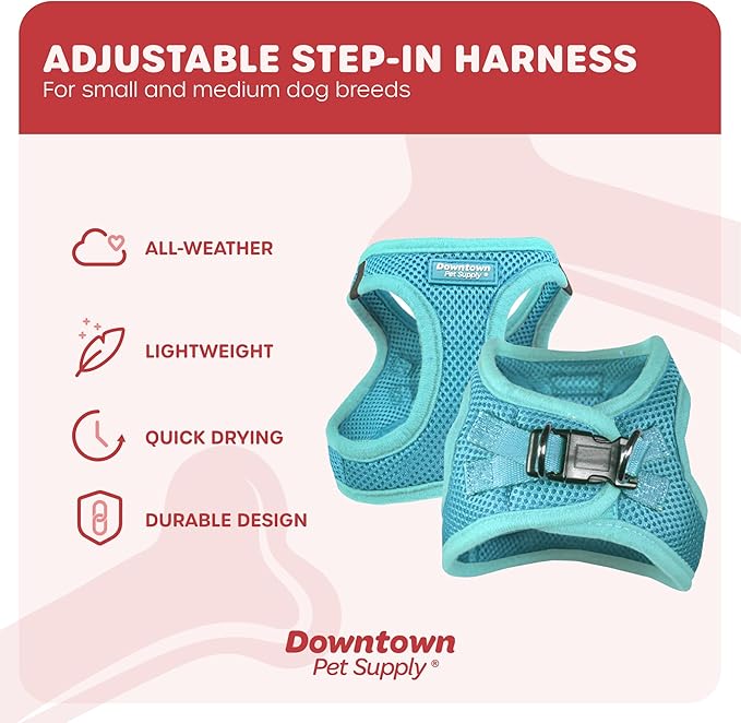 Downtown Pet Supply Step in Dog Harness for Small Dogs No Pull, Small, Light Blue - Adjustable Harness with Padded Mesh Fabric and Reflective Trim - Buckle Strap Harness for Dogs