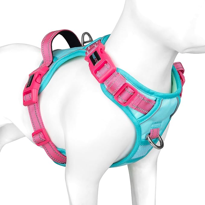 PHOEPET No Pull Dog Harness, Unique Colors Reflective Adjustable Dog Vest, with Soft Training Handle Metal Clips for Small Medium Large Dogs (Mint Green Base & Pink Straps,XL)