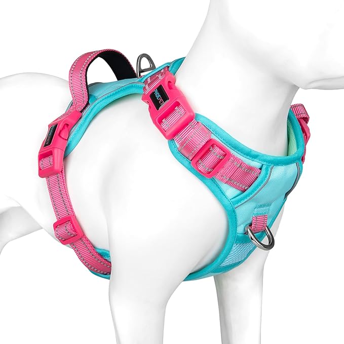 PHOEPET No Pull Dog Harness, Unique Colors Reflective Adjustable Dog Vest, with Soft Training Handle Metal Clips for Small Medium Large Dogs (Mint Green Base & Pink Straps,L)