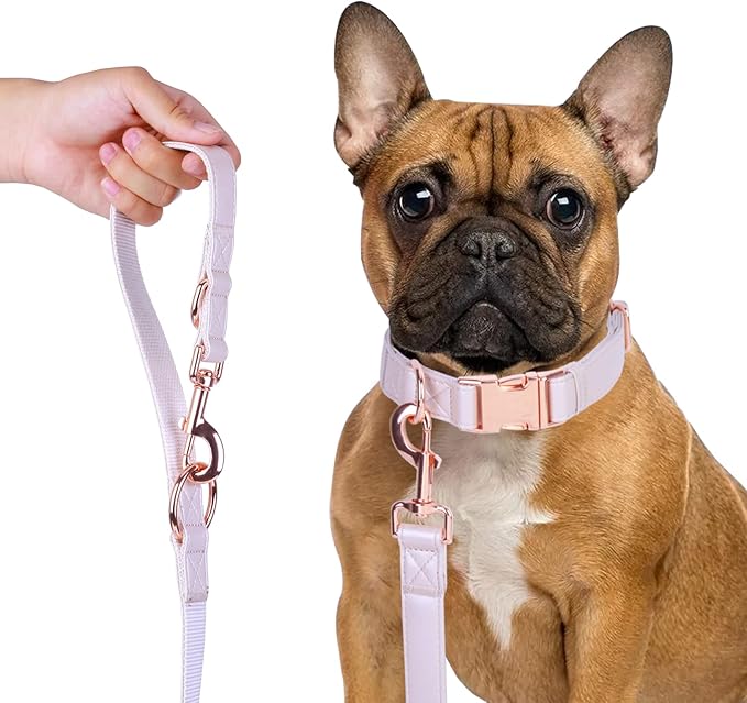 Soft Leather Dog Collar and Leash (6.6') Set - Stylish Rose Gold Heavy Duty Metal Buckle, 4 Adjustable Lengths Leash for Small Medium Large Dogs - Comfortable & Easy to Clean S(12.2"-16.9"), Gold Pink