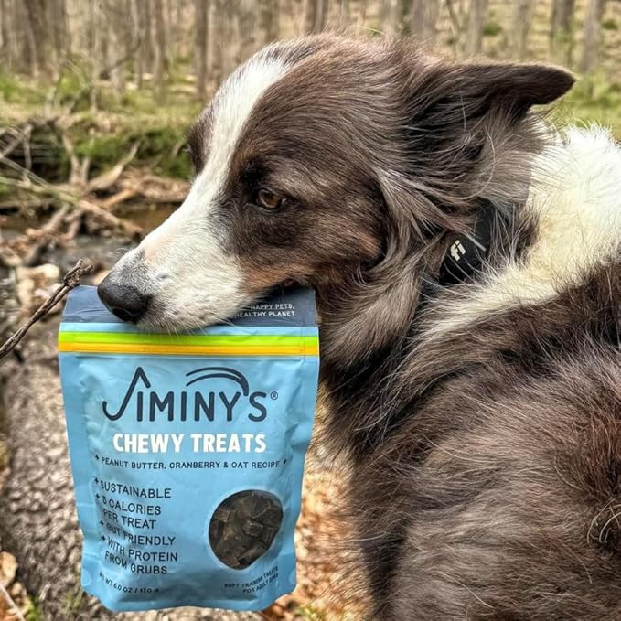 Jiminy's Chewy Training Treats for Dogs, Low Calorie, Hypoallergenic Insect Protein, Made in USA, 6oz, Peanut Butter & Cranberry (Pack of 1)