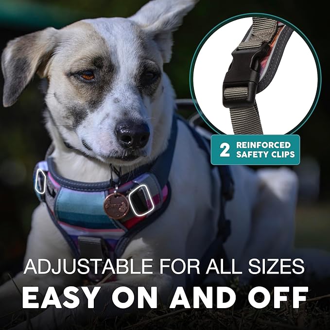 Embark Adventure Dog Harness, Reflective Trim XL Dog Harness for Extra Large Dogs No Pull - Military Grade Nylon, 2 Leash Clips & Gel Lined Handle. Soft & Padded Puppy Harnesses for Any Breed