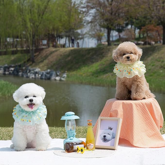 Jelly Bean Cape // pet Scarf, Pet Bib, Dog Bandanas, Round Neck Scarf/pet Accessories for Small, Medium, Large Dogs,Cat (Medium, Mint)