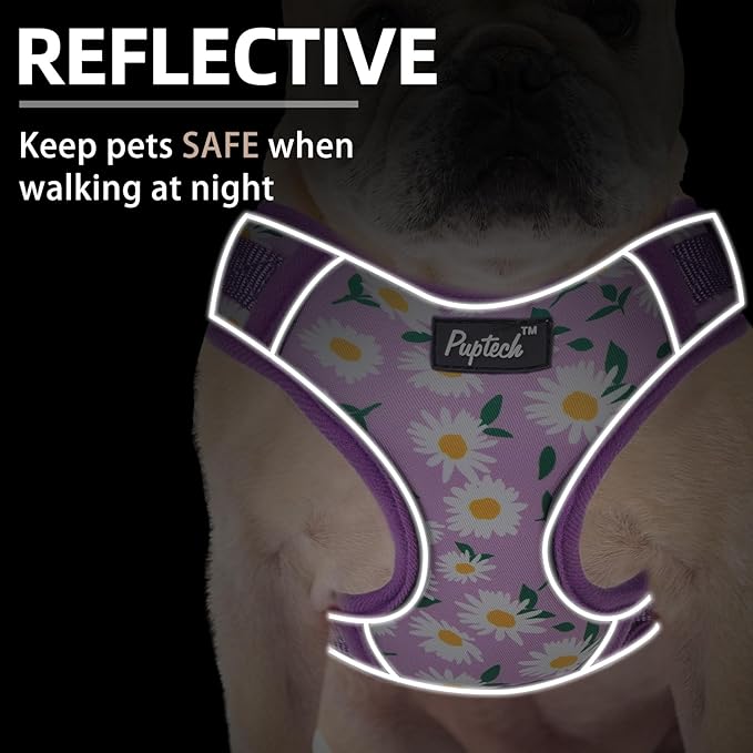 PUPTECK Dog Harness and Leash Set for Small Medium Dogs No Pull, Soft Mesh Adjustable Puppy Cat Harness Reflective at Night, Light Purple M