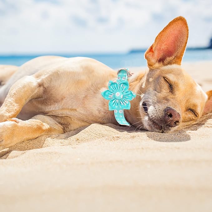 Elegant Little Tail Girl Dog Collar with Flower - Summer Collar for Small, Medium & Large Dogs