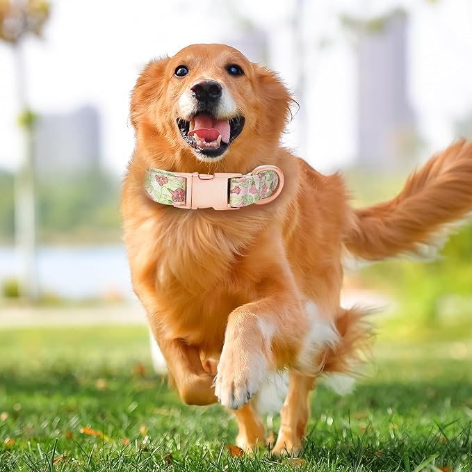 Dog Collar and Leash Set Girls Adjustable Puppy Collars with Floral Bow Tie for Small Medium Large Female Dogs, Morning Glory, L