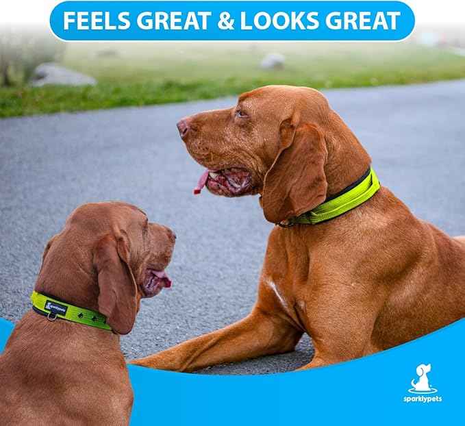 SparklyPets Heavy Duty Dog Collar with Handle for Medium and Large Dogs – Professional Collar with Reflective Stitches, Soft Handle & Nickel-Plated Buckle (Large (18"~22"), Green)