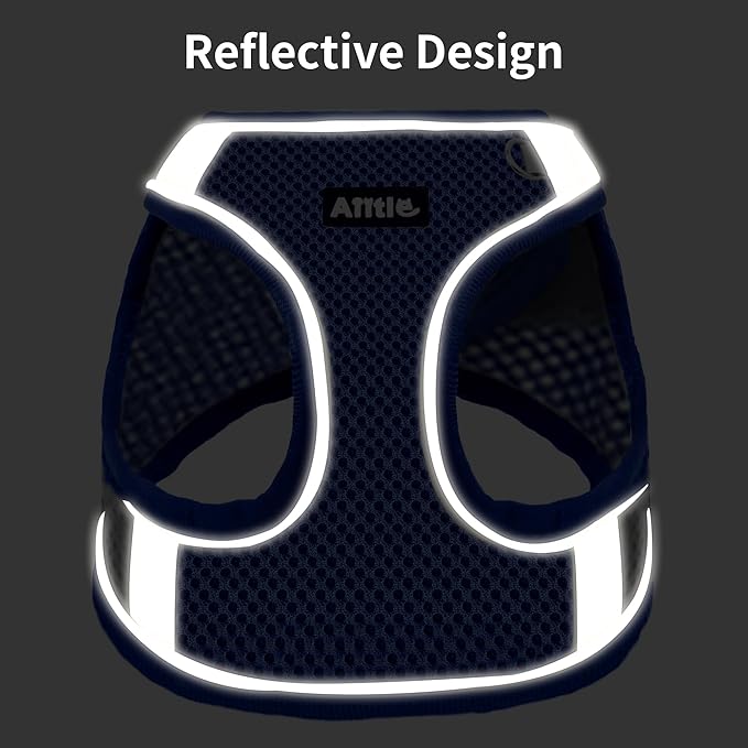 AIITLE Dog Harness, Spring No-Pull Cat Harness with a Leash, Adjustable Reflective Dog Vest, Cat Harness Escape Proof, Outdoor Walking, Camping for Extra Small Dogs and House Cats Royal Blue XXXS