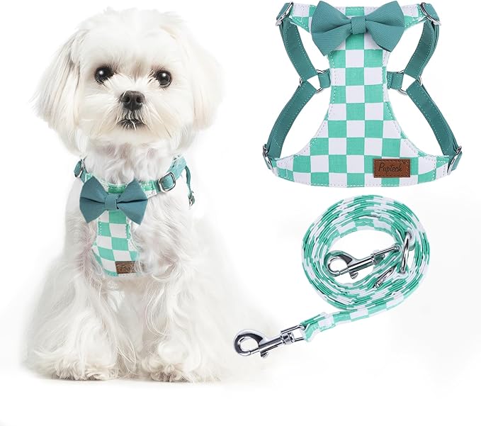 PUPTECK Dog Harness and Leash Set Small Sized, Step-in Cute Puppy Harness, Soft Lightweight Padded Vest, Escape Proof No Pull Pet Harnesses Easy for Walking, Plaid Green & White, XXS