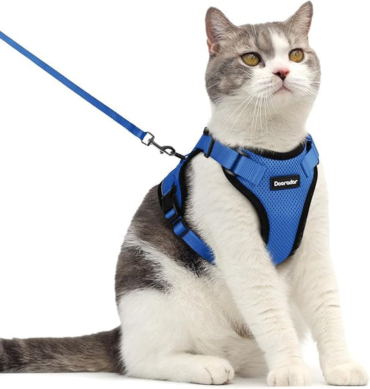 Dooradar Cat Harness and Leash Set, Escape Proof Safe Adjustable Kitten Vest Harnesses for Walking, Easy Control Soft Breathable Mesh Jacket with Reflective Strips for Cats, Blue, M
