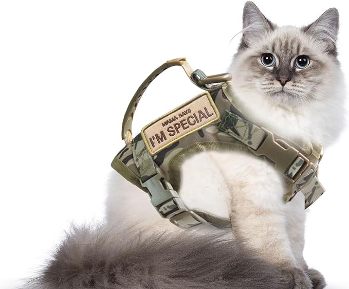 Tactical Cat Harness for Walking Escape Proof, Adjustable Pet Vest Harness, Soft Mesh with Control Handle for Large Cat Small Dog, Gift with Patch (Camouflage, cat Harness only)