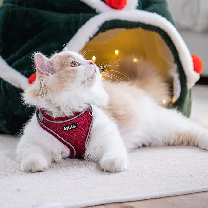 AIITLE Dog Harness, Spring No-Pull Cat Harness with a Leash, Adjustable Reflective Dog Vest, Cat Harness Escape Proof, Outdoor Walking, Camping for Extra Small Dogs and House Cats Burgundy XXXS