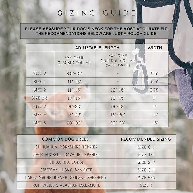 Made to ROAM Premium Dog Collar - Adjustable Heavy Duty Nylon Collar with Quick-Release Metal Buckle (Montana Moonrise, Classic Size 4.5, Old Roam Logo)